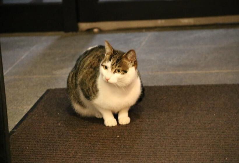Akasawa Onsen Ryokan