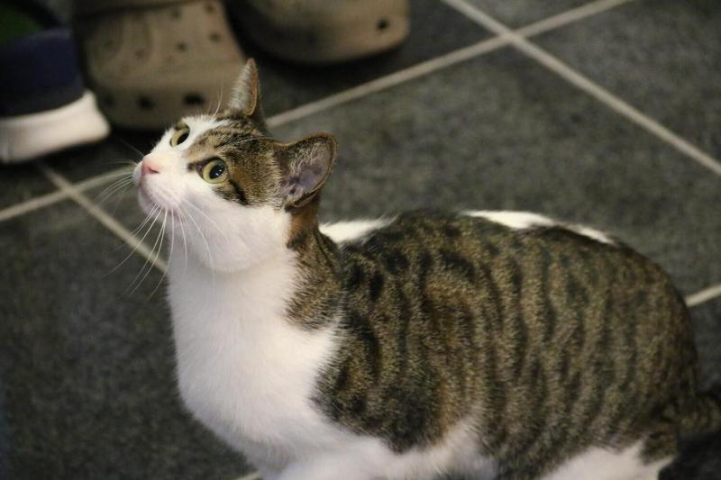 Akasawa Onsen Ryokan