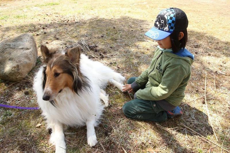 Akasawa Onsen Ryokan