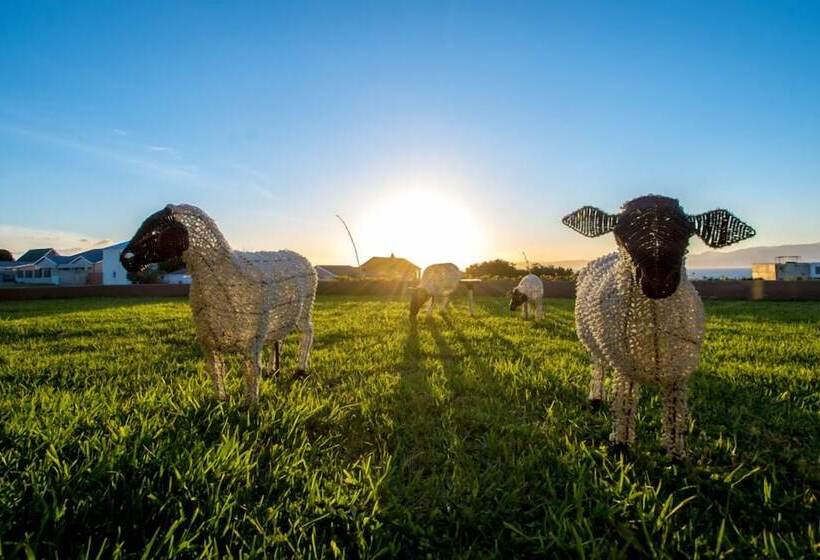 ベッドアンドブレックファースト Benguela