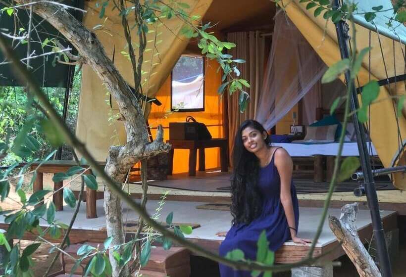 Hotel Back Of Beyond Dune Camp Yala