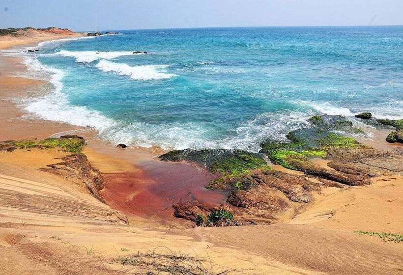 Hotel Back Of Beyond Dune Camp Yala