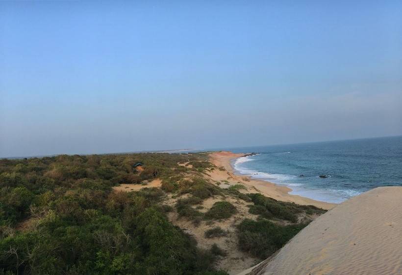 Hotel Back Of Beyond Dune Camp Yala