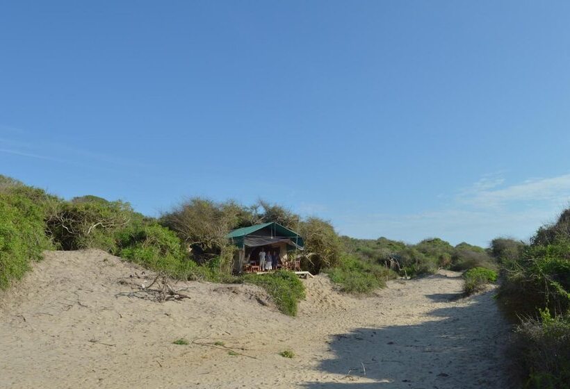 호텔 Back Of Beyond Dune Camp Yala