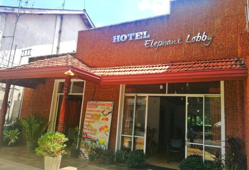 ホテル Elephant Lobby