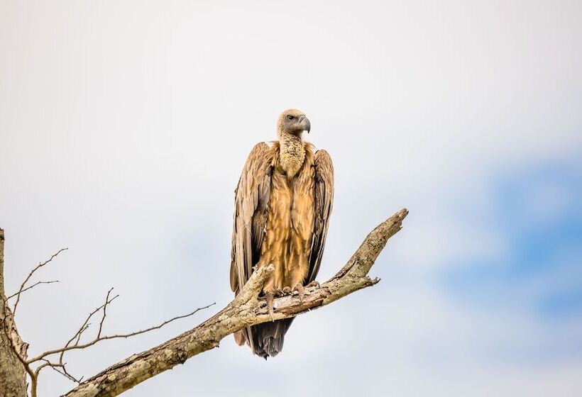 Отель Rio Vista Lodge