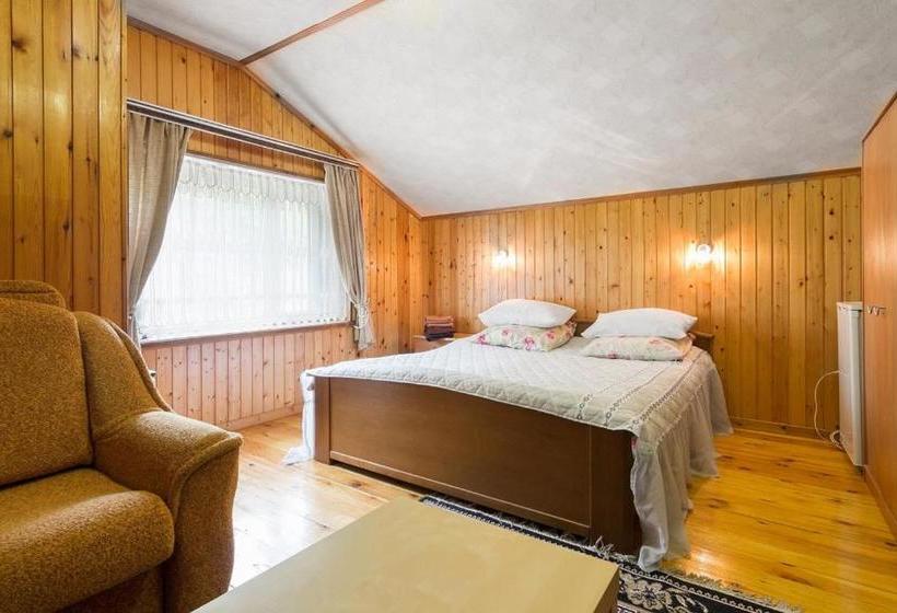 هتل Rodnik Guest House