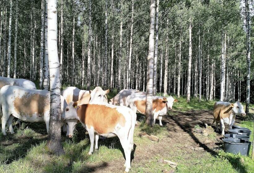 فندق ريفى Anssilan Maatila