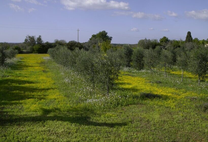田舎風ホテル Masseria Agriturismo Faresalento