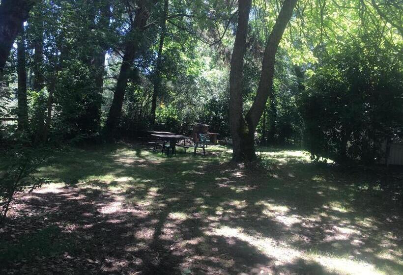 Ovensview On Riverside