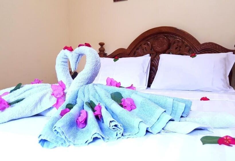 بنسيون Cozy Corner