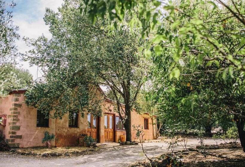 Пансион Auburn Garden Suites