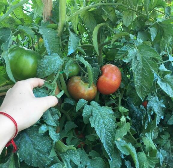 Residence Villa Cristina