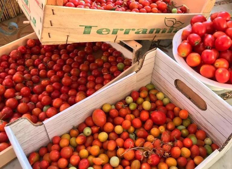 Residence Villa Cristina