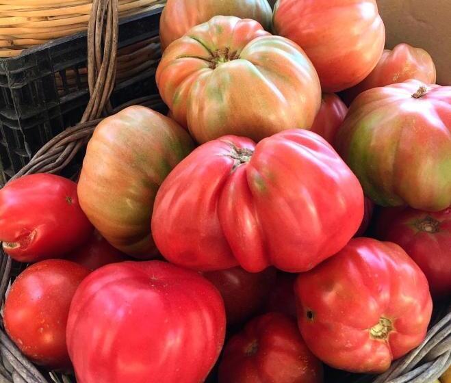 Residence Villa Cristina