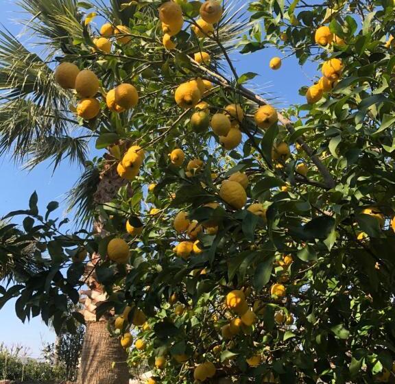 Residence Villa Cristina