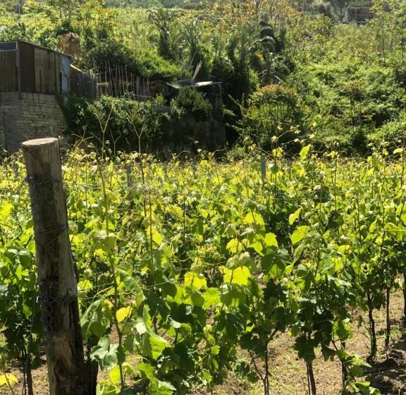 Residence Villa Cristina