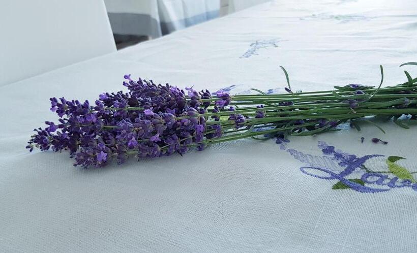 Sweet Life Wellness Apartments