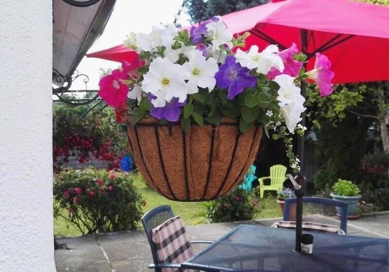 تختخواب و صبحانه The Vee Guest Accommodation