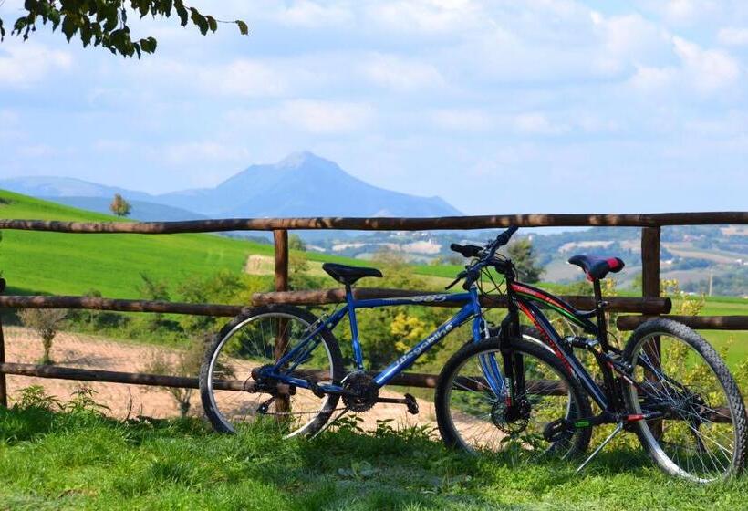 Agriturismo B&b La Cerasa