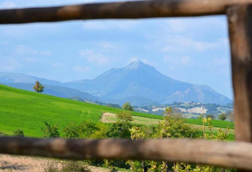 Agriturismo B&b La Cerasa