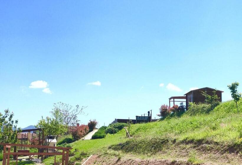 Agriturismo B&b La Cerasa