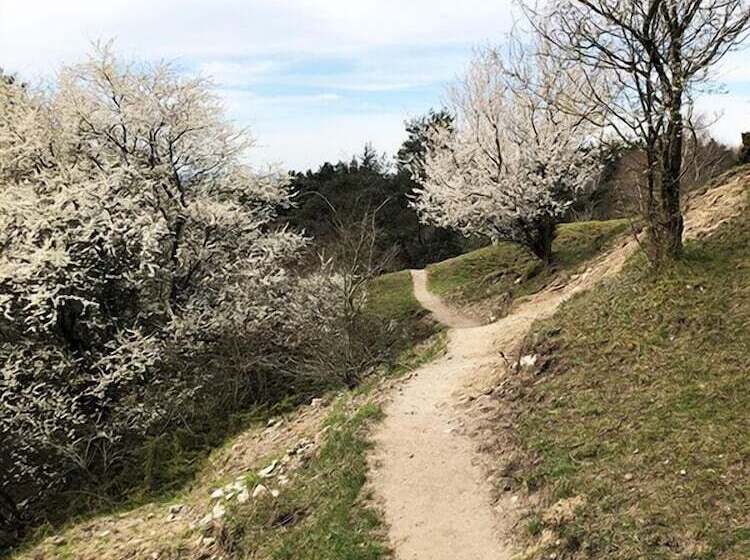 Basballegaard Bed & Breakfast