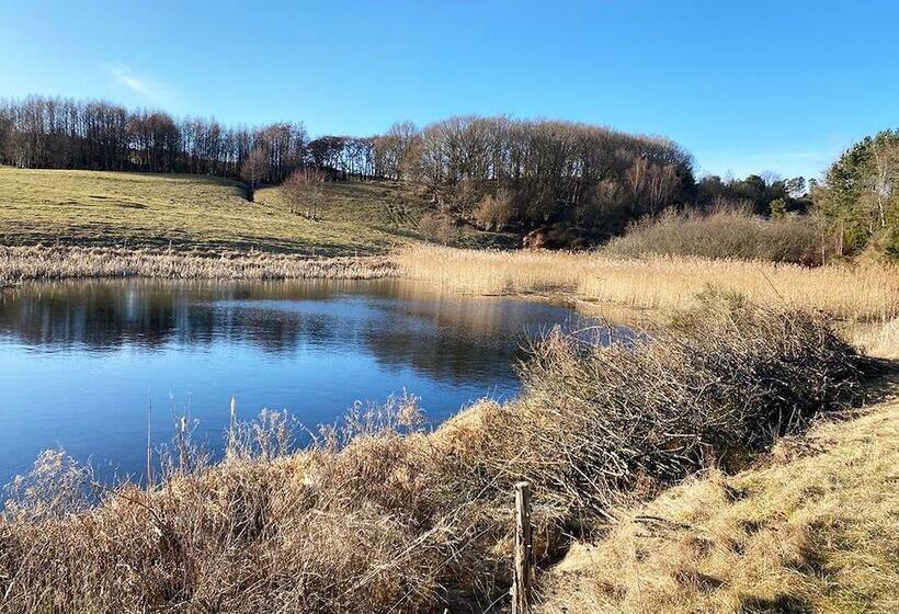 Basballegaard Bed & Breakfast