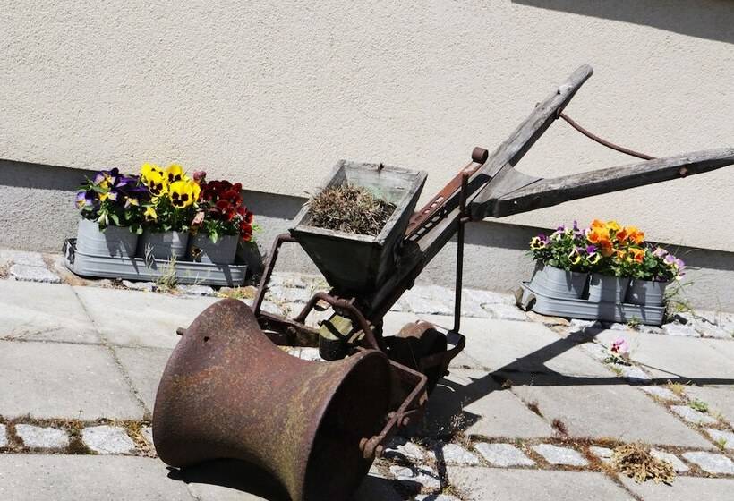 Basballegaard Bed & Breakfast