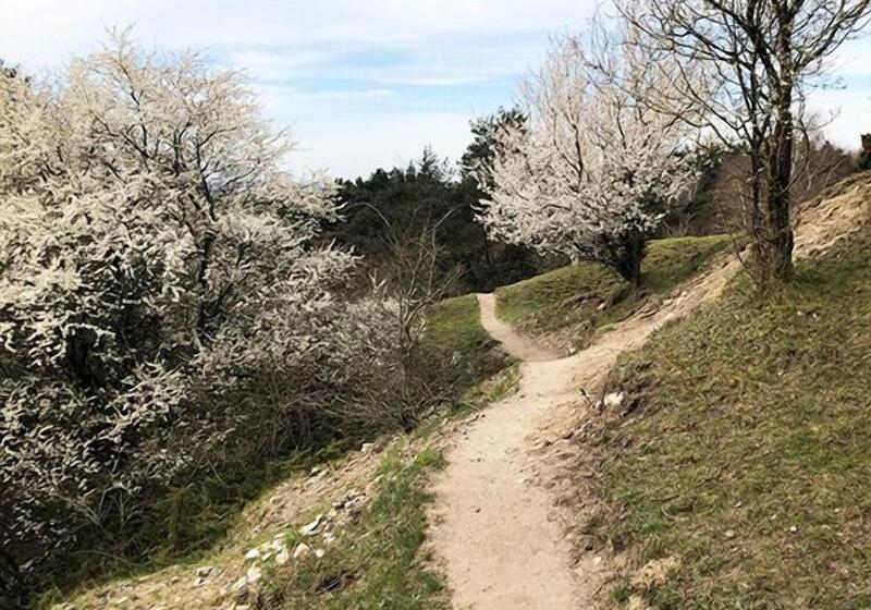 Basballegaard Bed & Breakfast