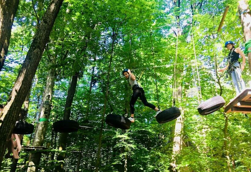 Baumhotel Styrassic Park