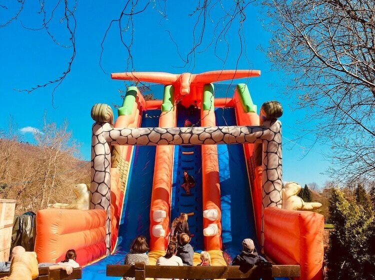 Baumhotel Styrassic Park