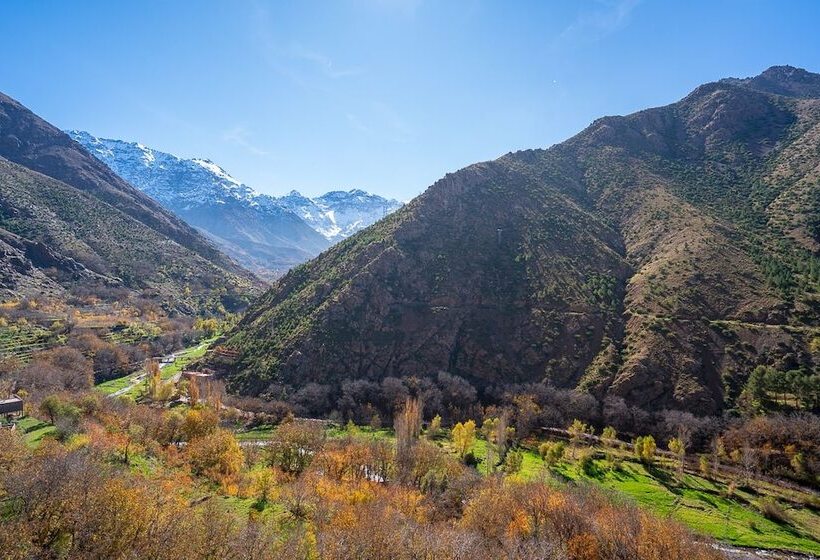 ベッドアンドブレックファースト Berber Family Lodge