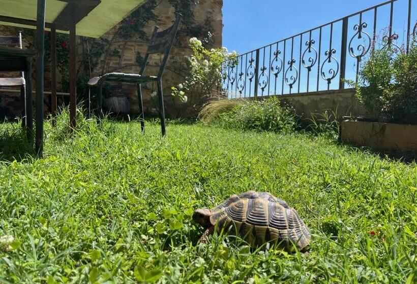 住宿加早餐  La Corte Segreta