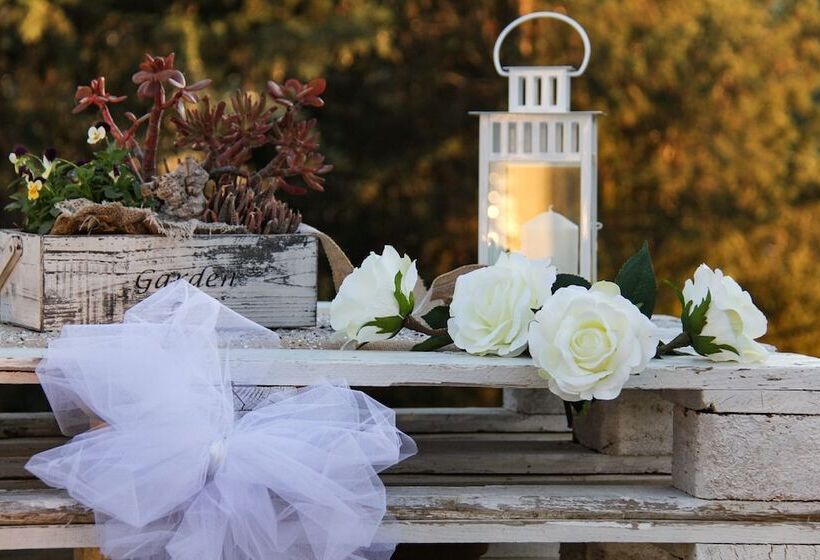 مبيت وإفطار Leonardo