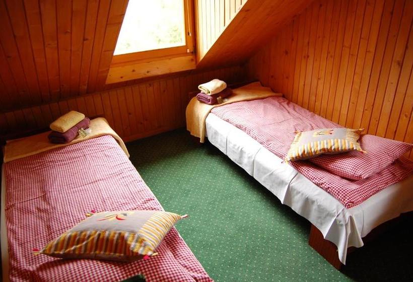 مبيت وإفطار Pokoje Gościnne Pod Ciupagą