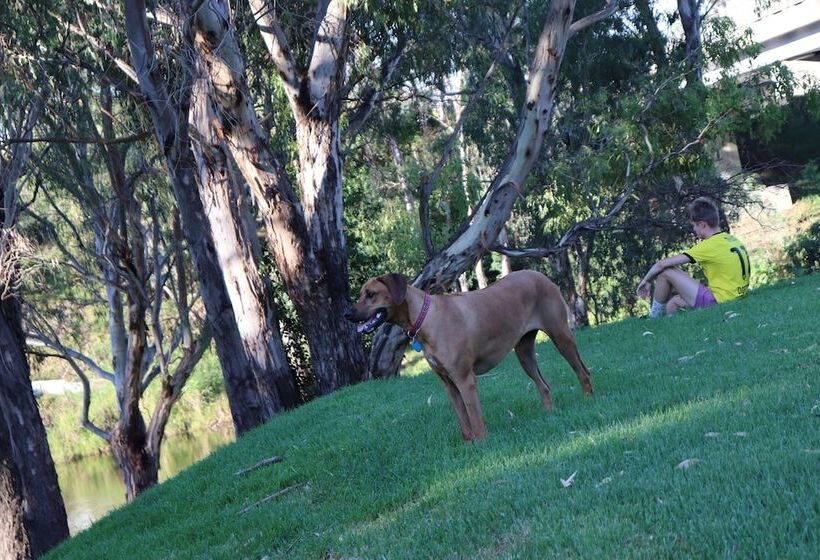 Bridge Motel Wellington