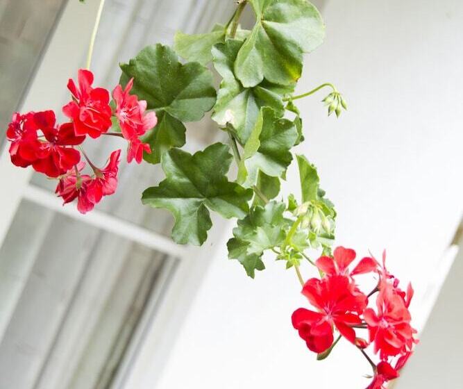 ホテル Diyathala Regency Boutique