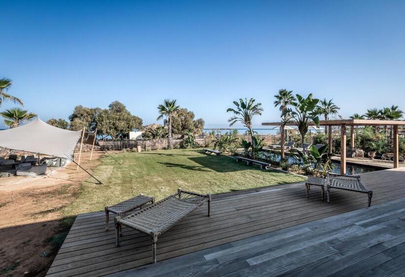 هتل Domes Zeen Chania, A Luxury Collection Resort, Crete