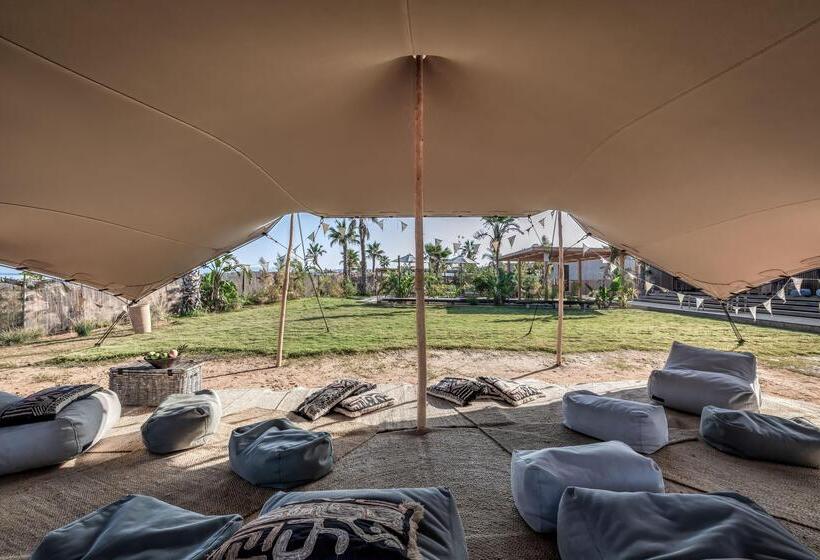 Отель Domes Zeen Chania, A Luxury Collection Resort, Crete