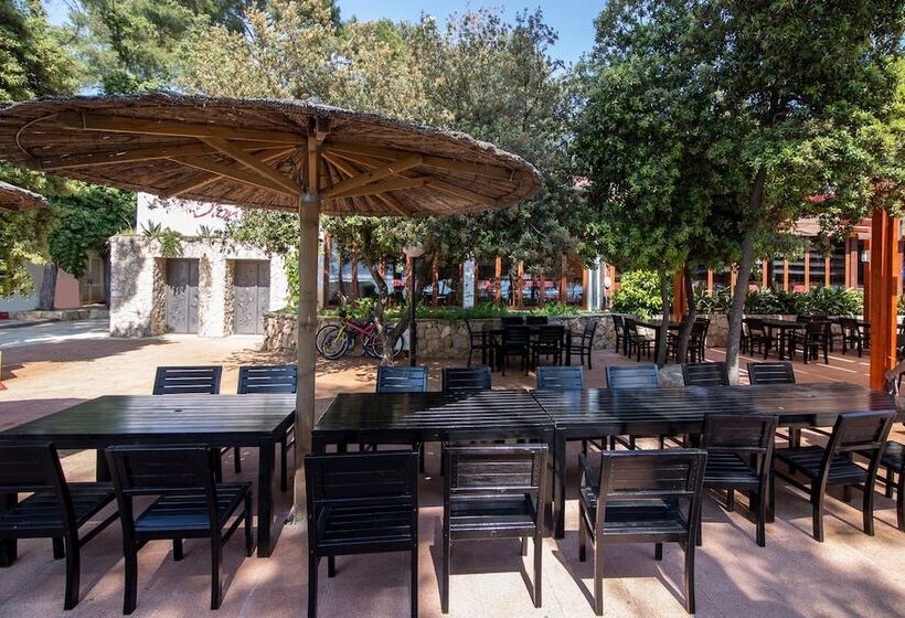 בית מלון כפרי Glampatcamp