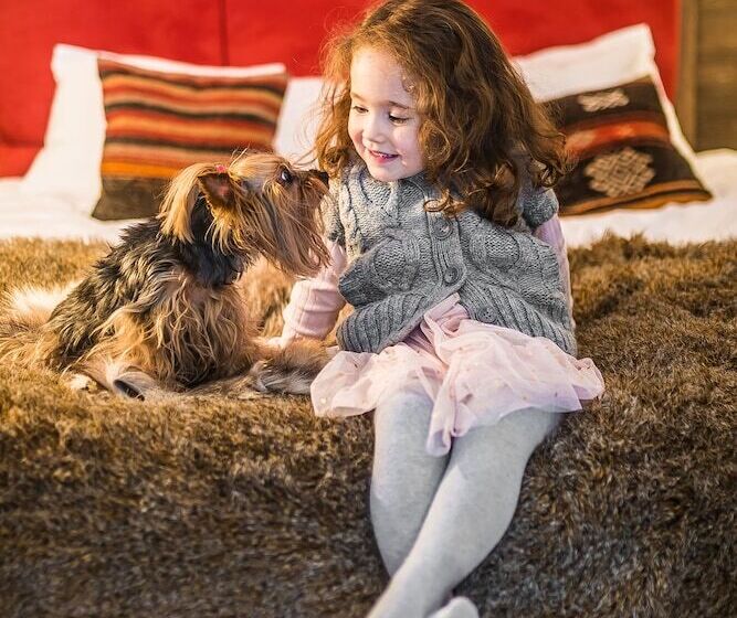 هتل Rezydencja Nova Na Gubałówce