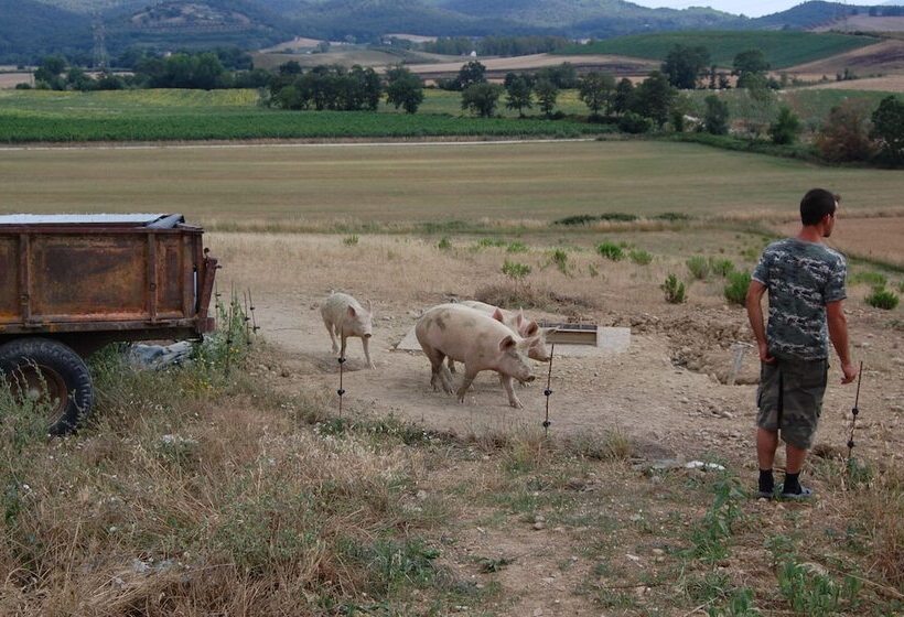 هتل روستایی Agriturismo Montepozzalino