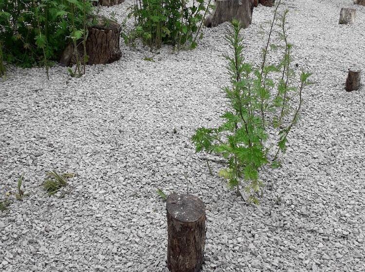 پانسیون Karjal Dom