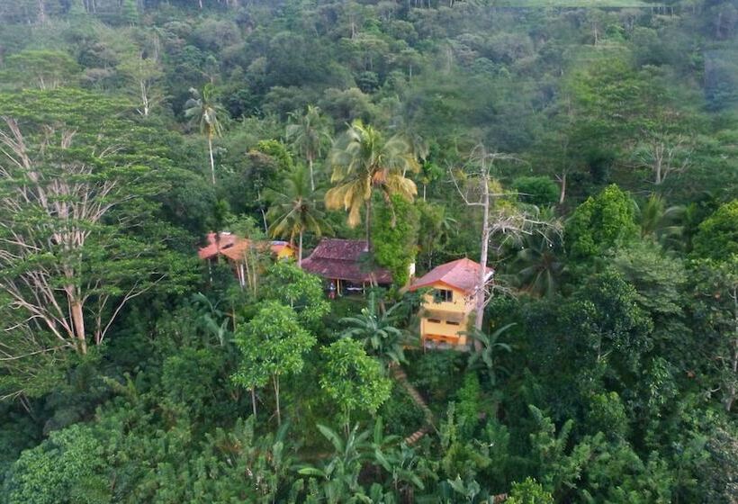 Пансион Natural Mystic Sanctuary