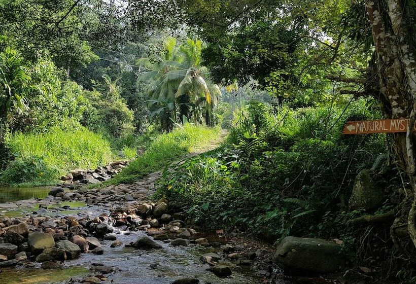 Пансион Natural Mystic Sanctuary