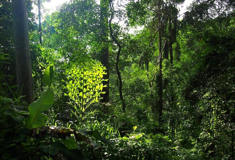 Пансион Natural Mystic Sanctuary