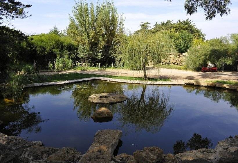 بنسيون Quinta Dos Lagos