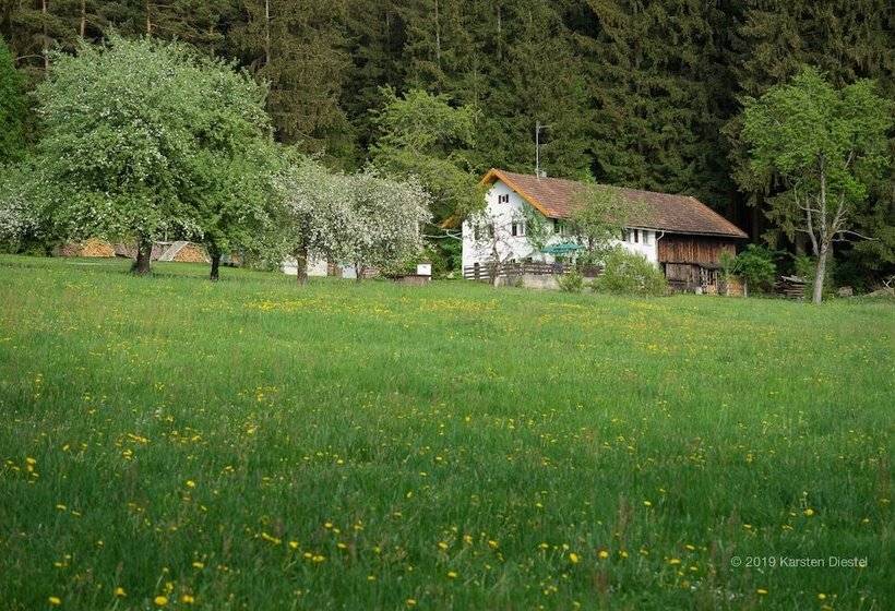 Pension Am Waldesrand