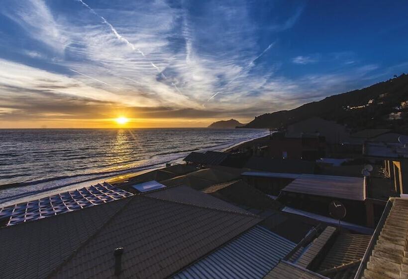 Sea Breeze
